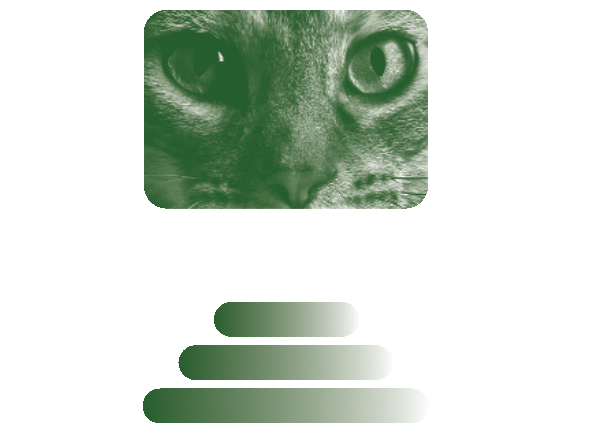 Kattenhotel De Vuursche Logo