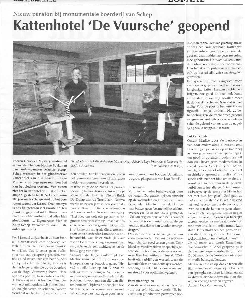 Kattenhotel De Vuursche